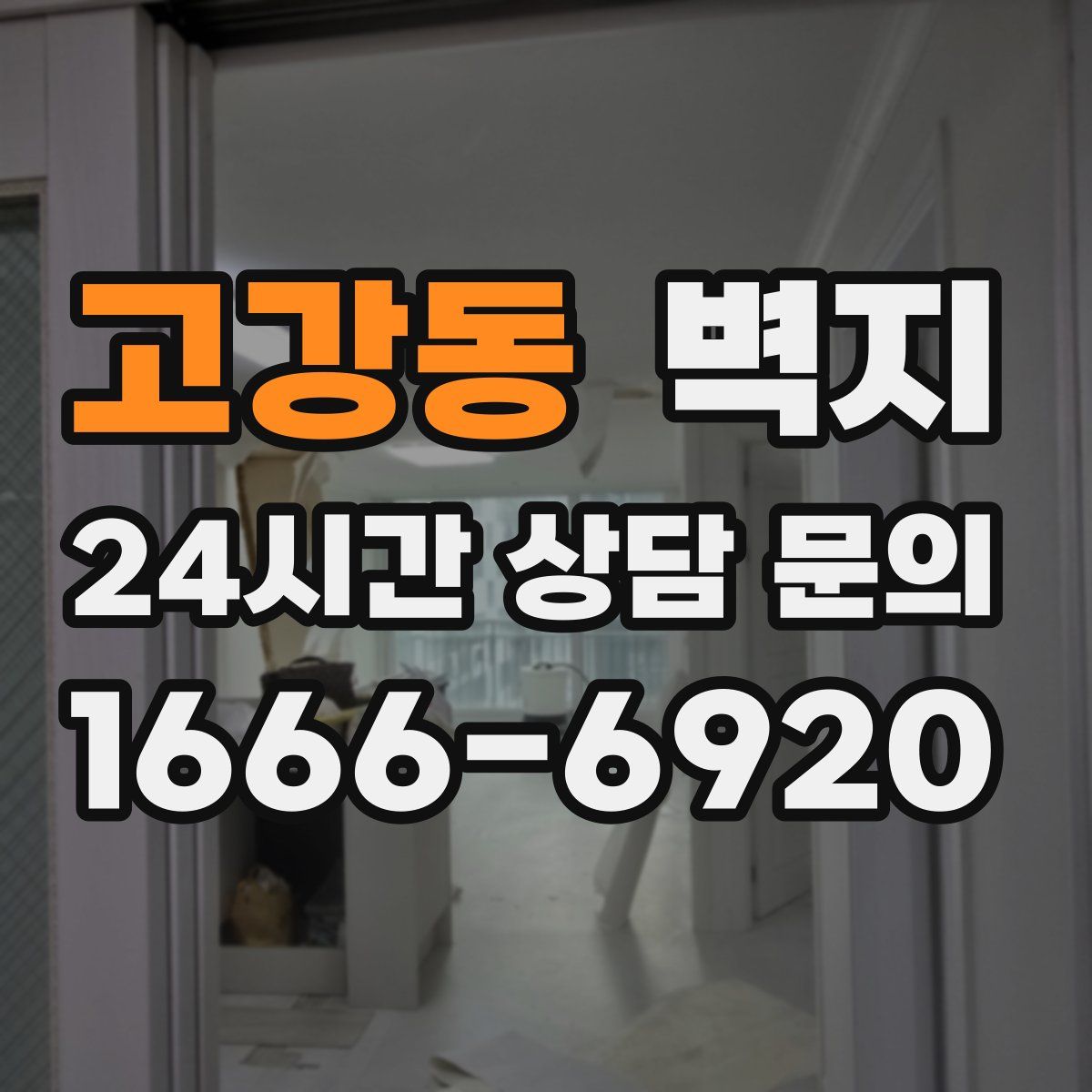 고강동 벽지