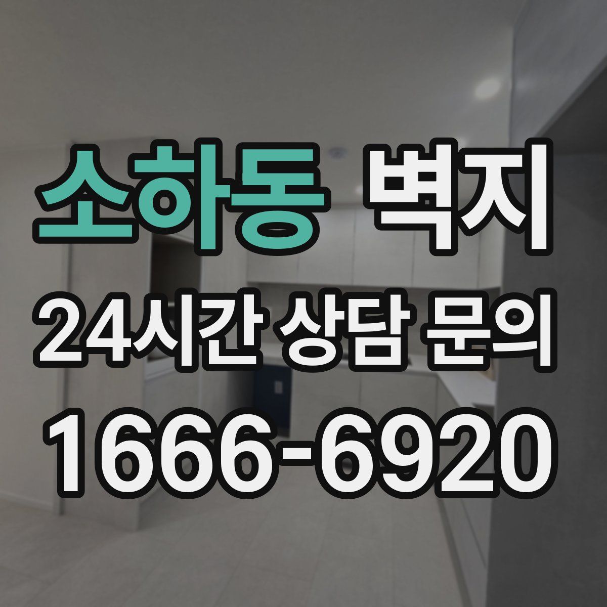 소하동 벽지