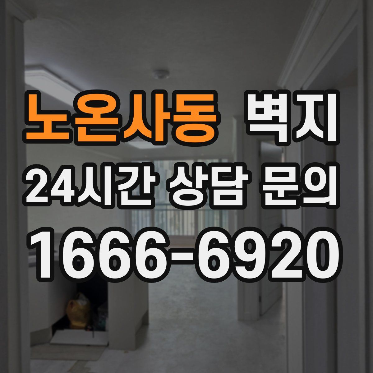 노온사동 벽지