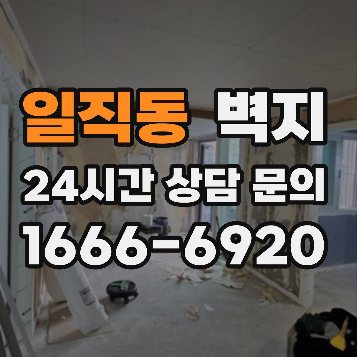 일직동 벽지