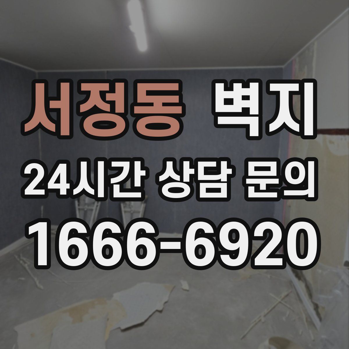 서정동 벽지