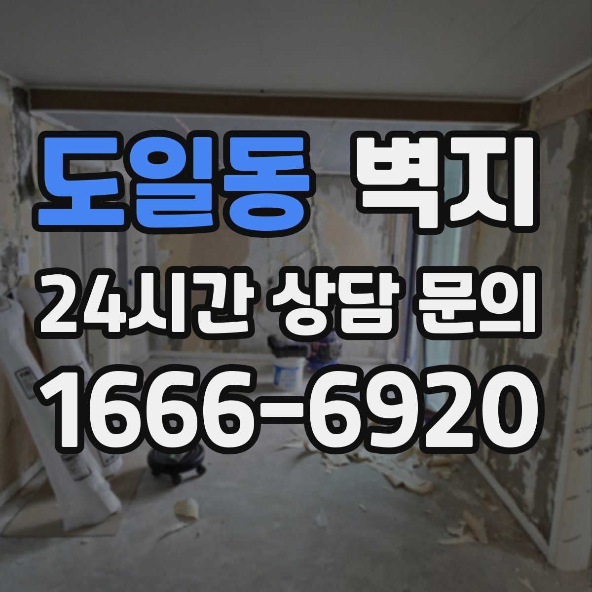 도일동 벽지