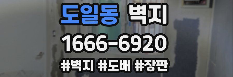 도일동 벽지