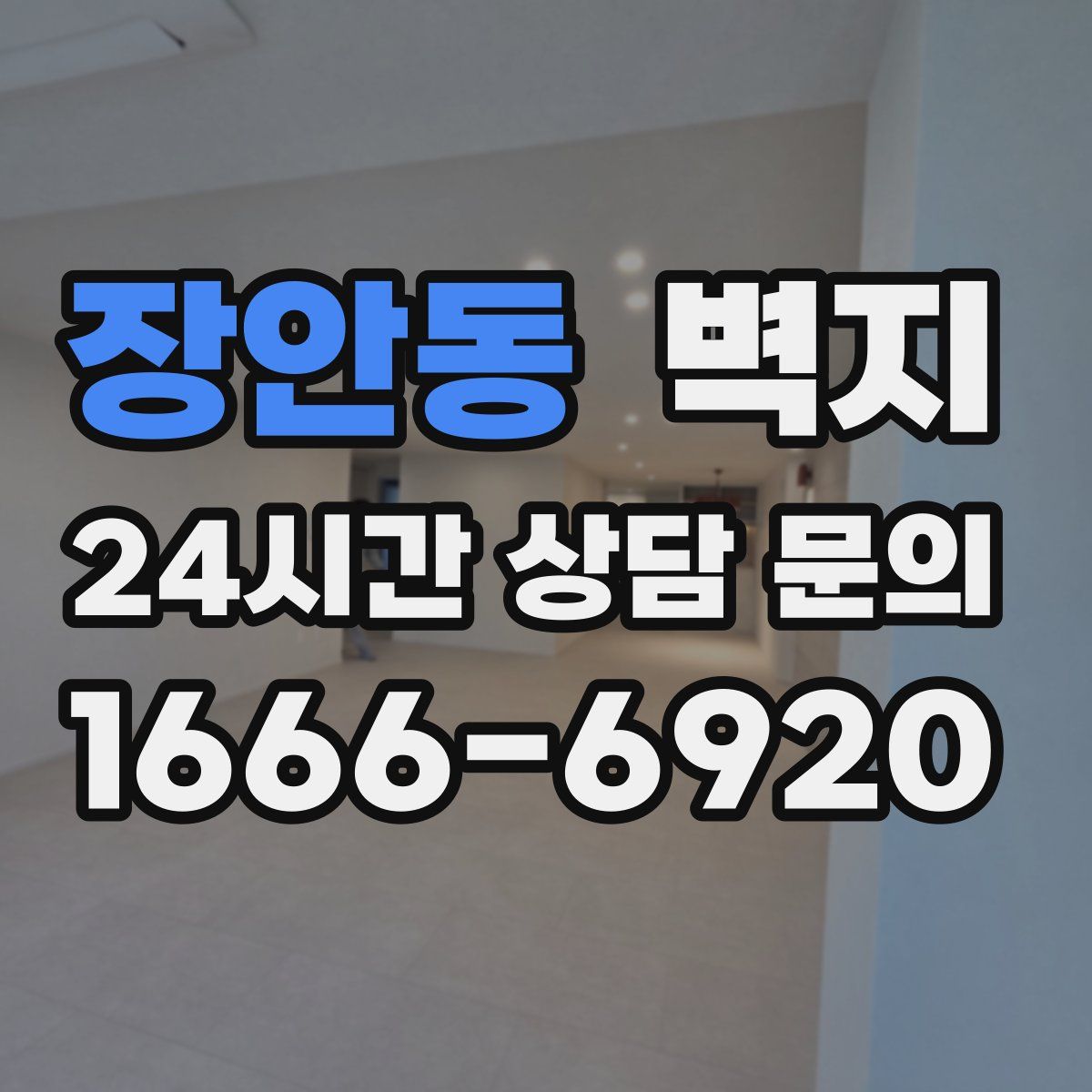 장안동 벽지