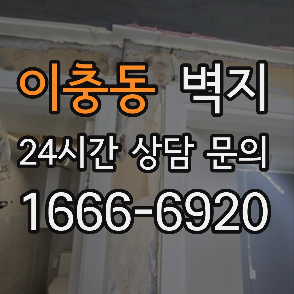 이충동 벽지