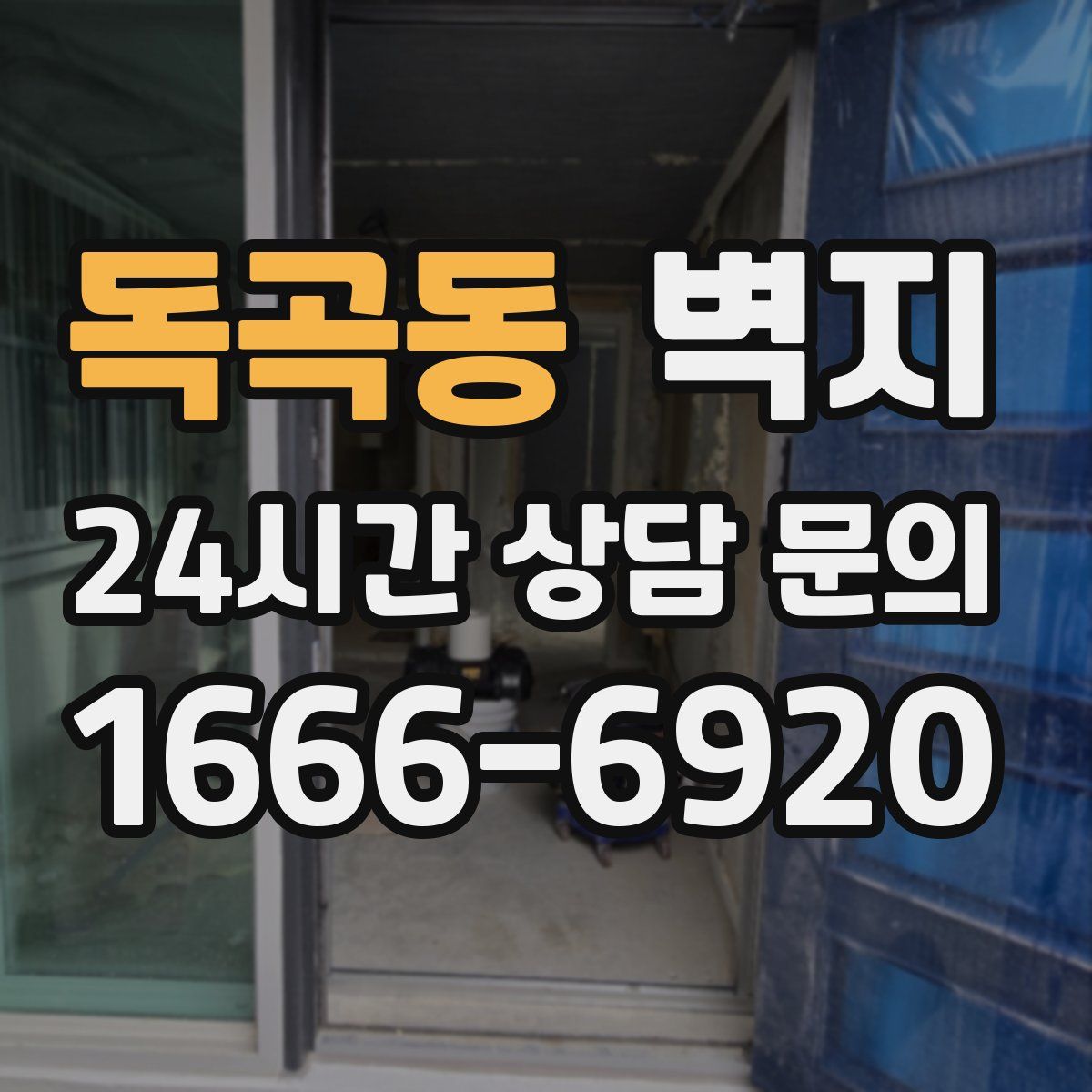 독곡동 벽지
