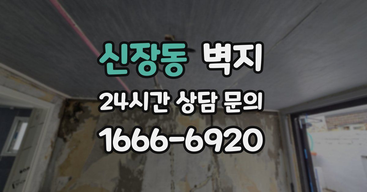 신장동 벽지