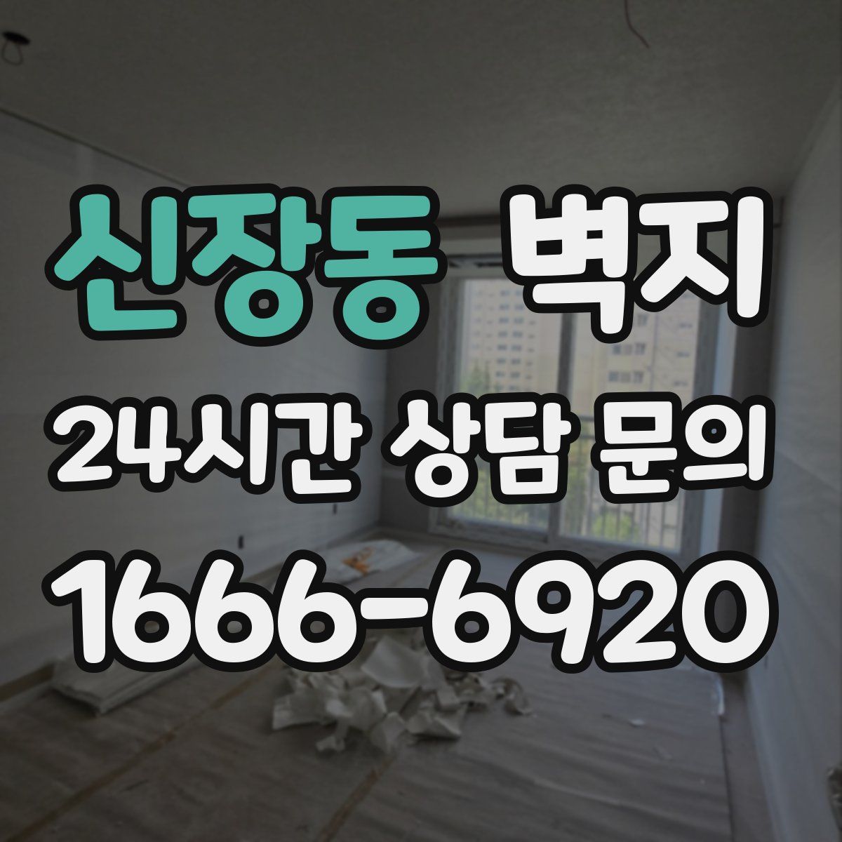 신장동 벽지