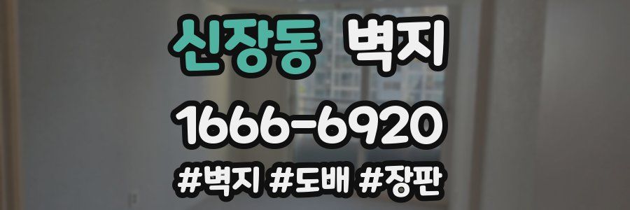 신장동 벽지