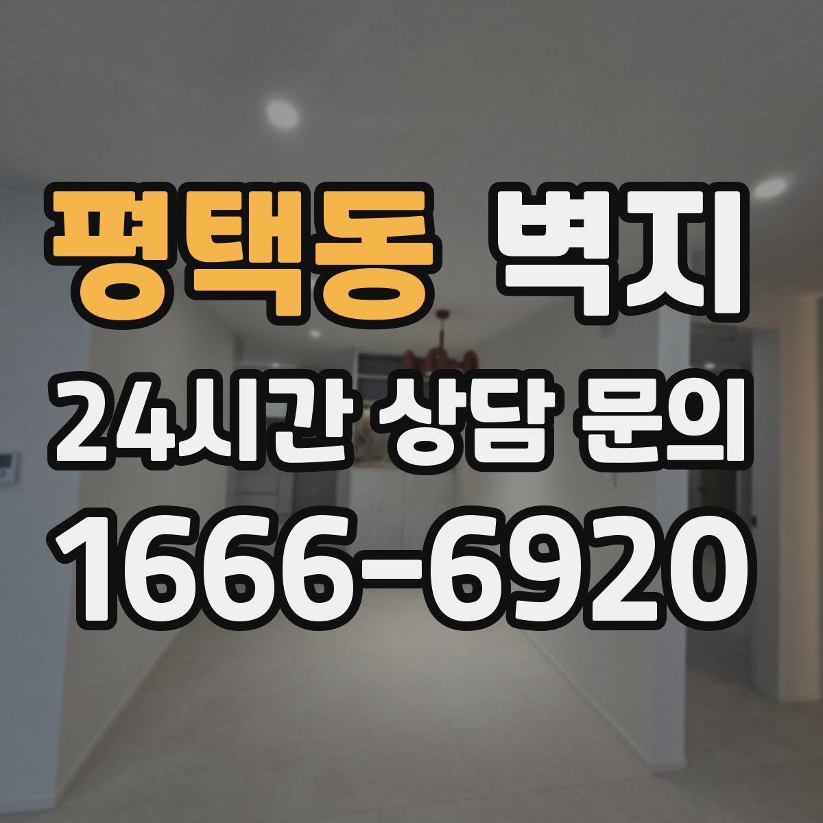 평택동 벽지 고르는 기준을 정리해보면