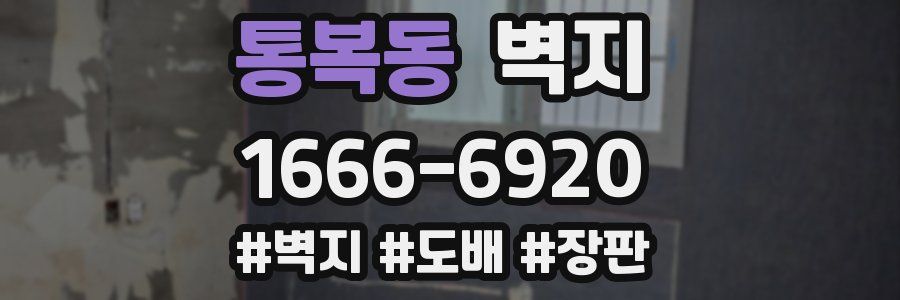 통복동 벽지
