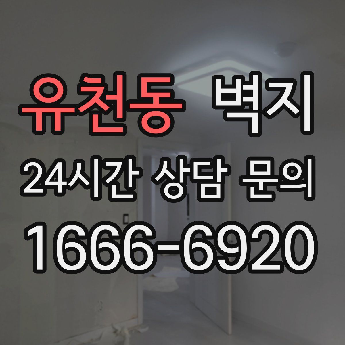 유천동 벽지