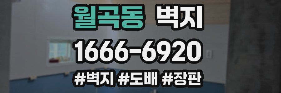 월곡동 벽지