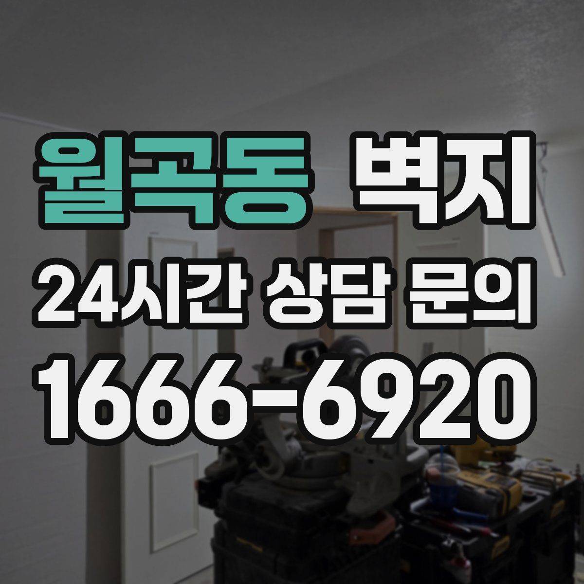 월곡동 벽지