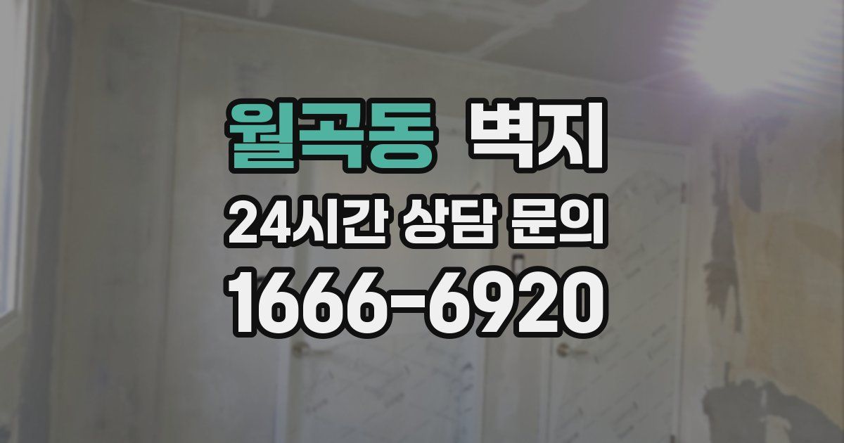 월곡동 벽지