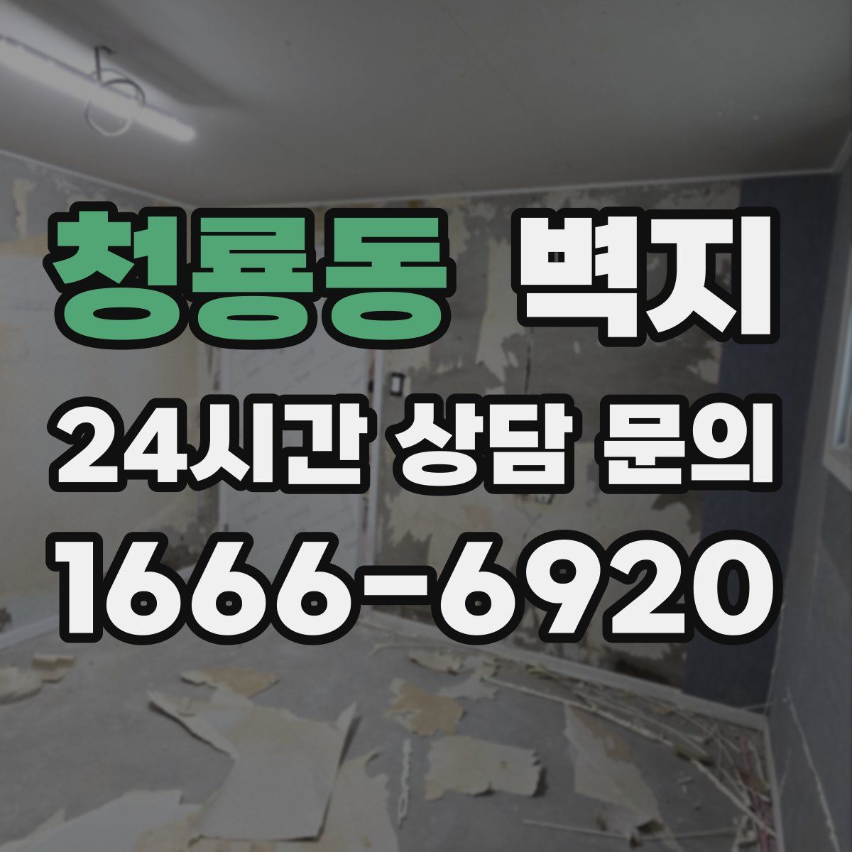 청룡동 벽지