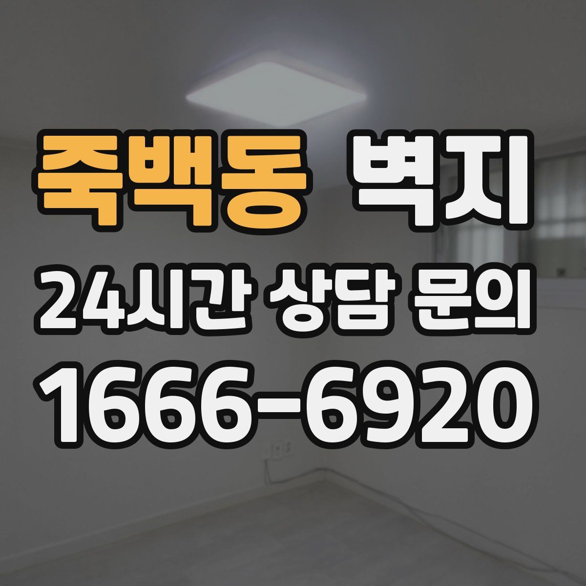 죽백동 벽지