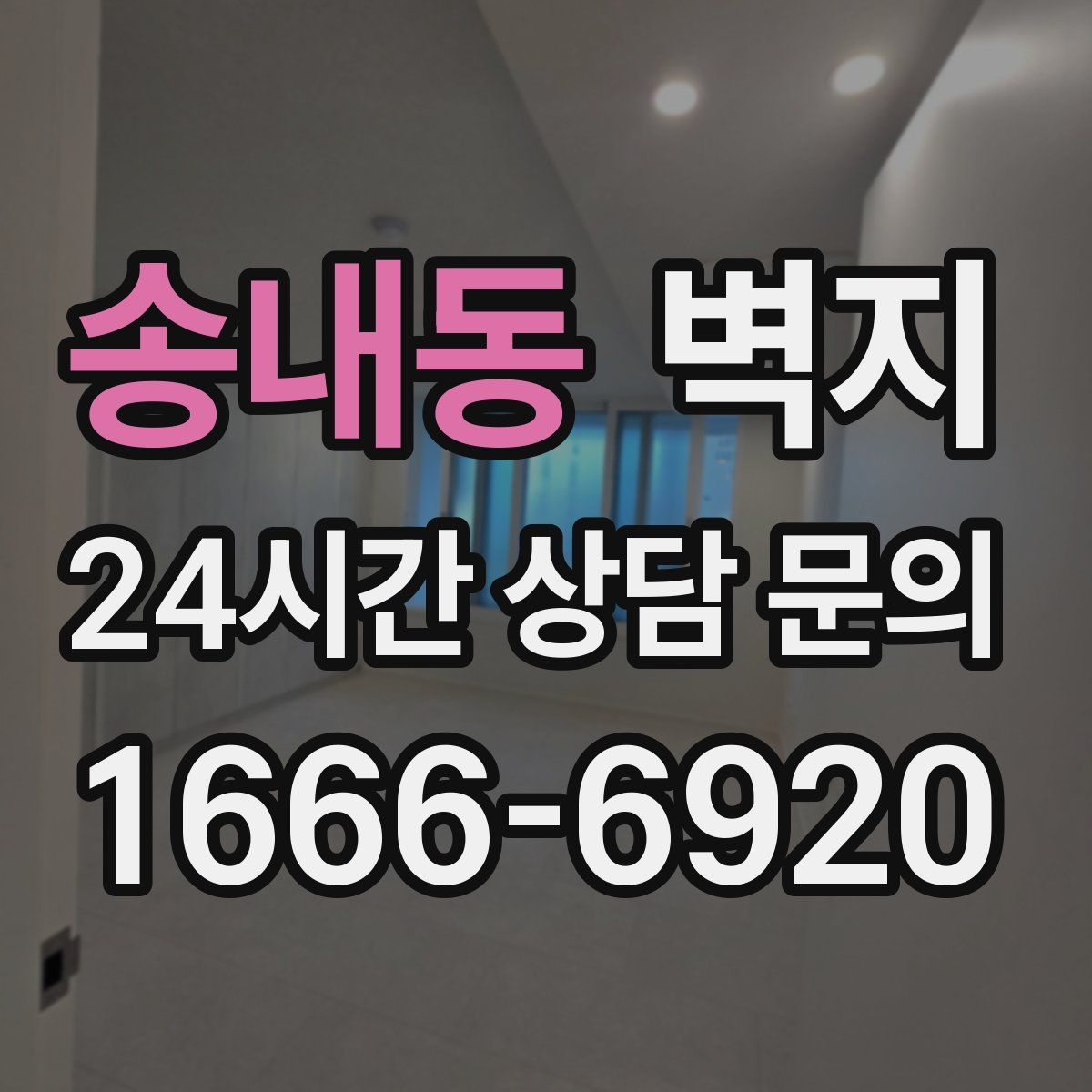 송내동 벽지