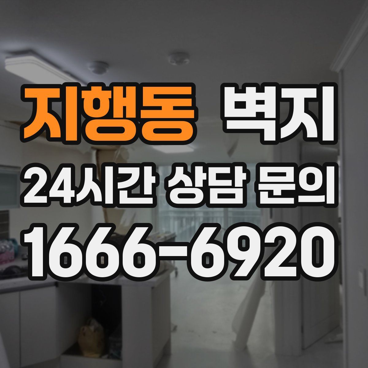 지행동 벽지