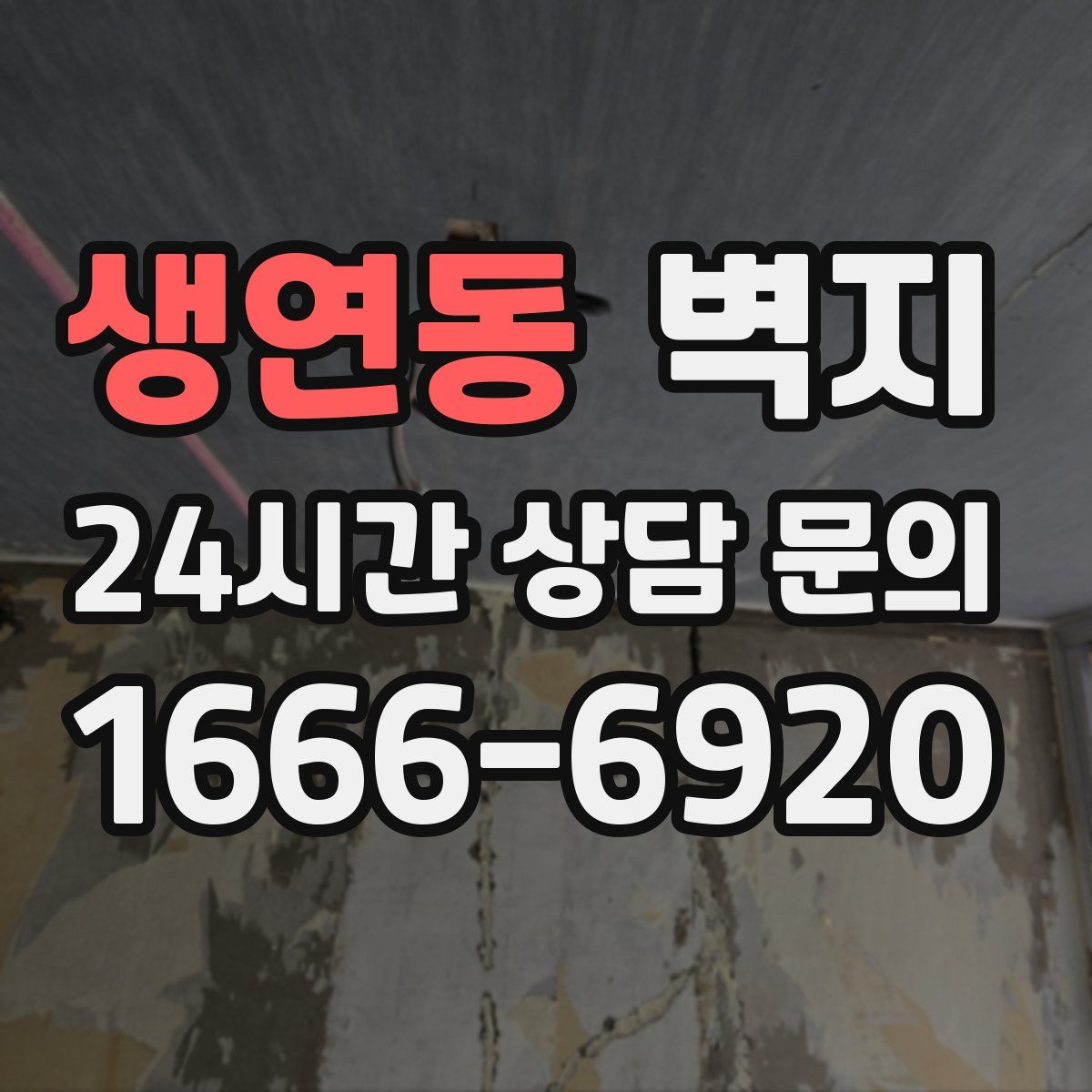 생연동 벽지
