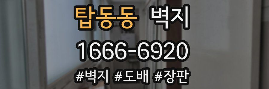 탑동동 벽지
