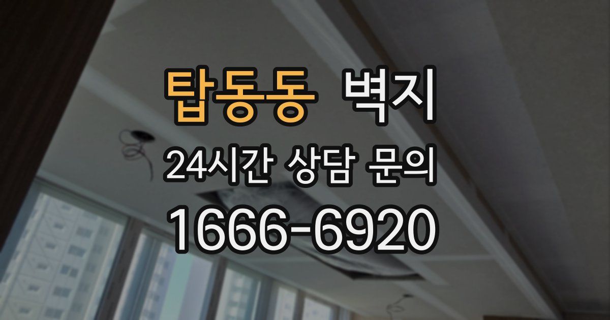 탑동동 벽지