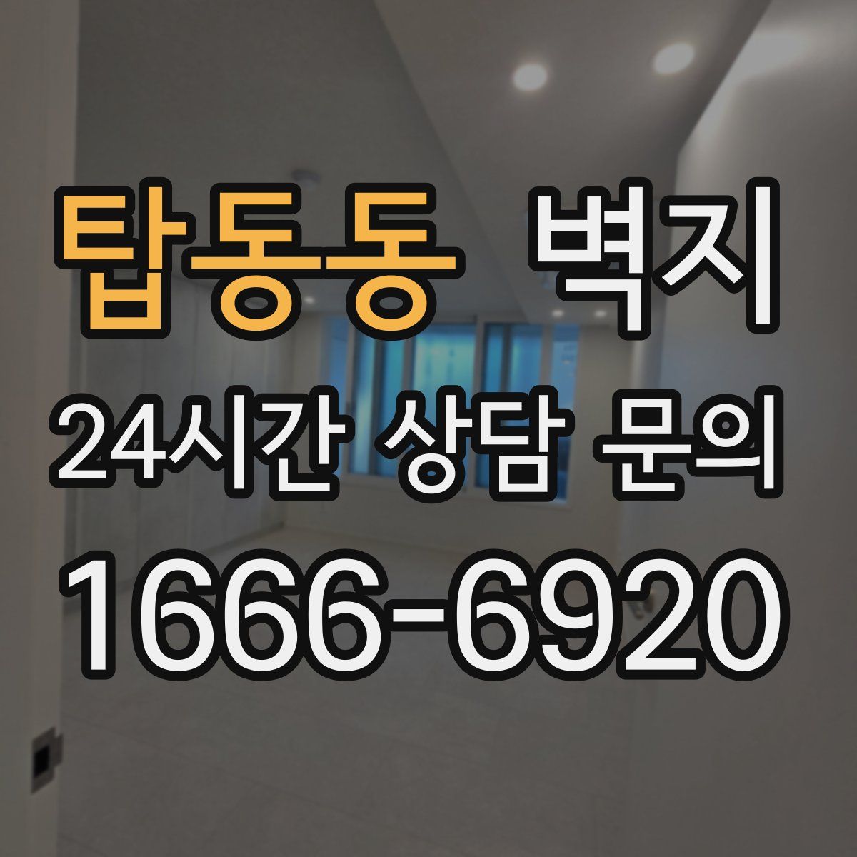 탑동동 벽지
