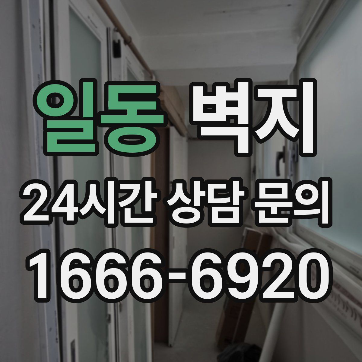 일동 벽지