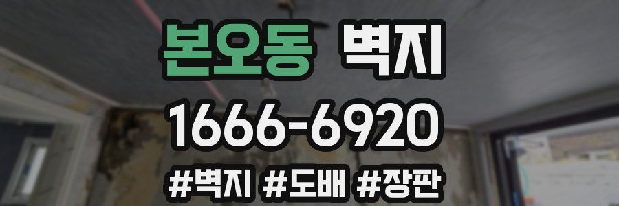 본오동 벽지