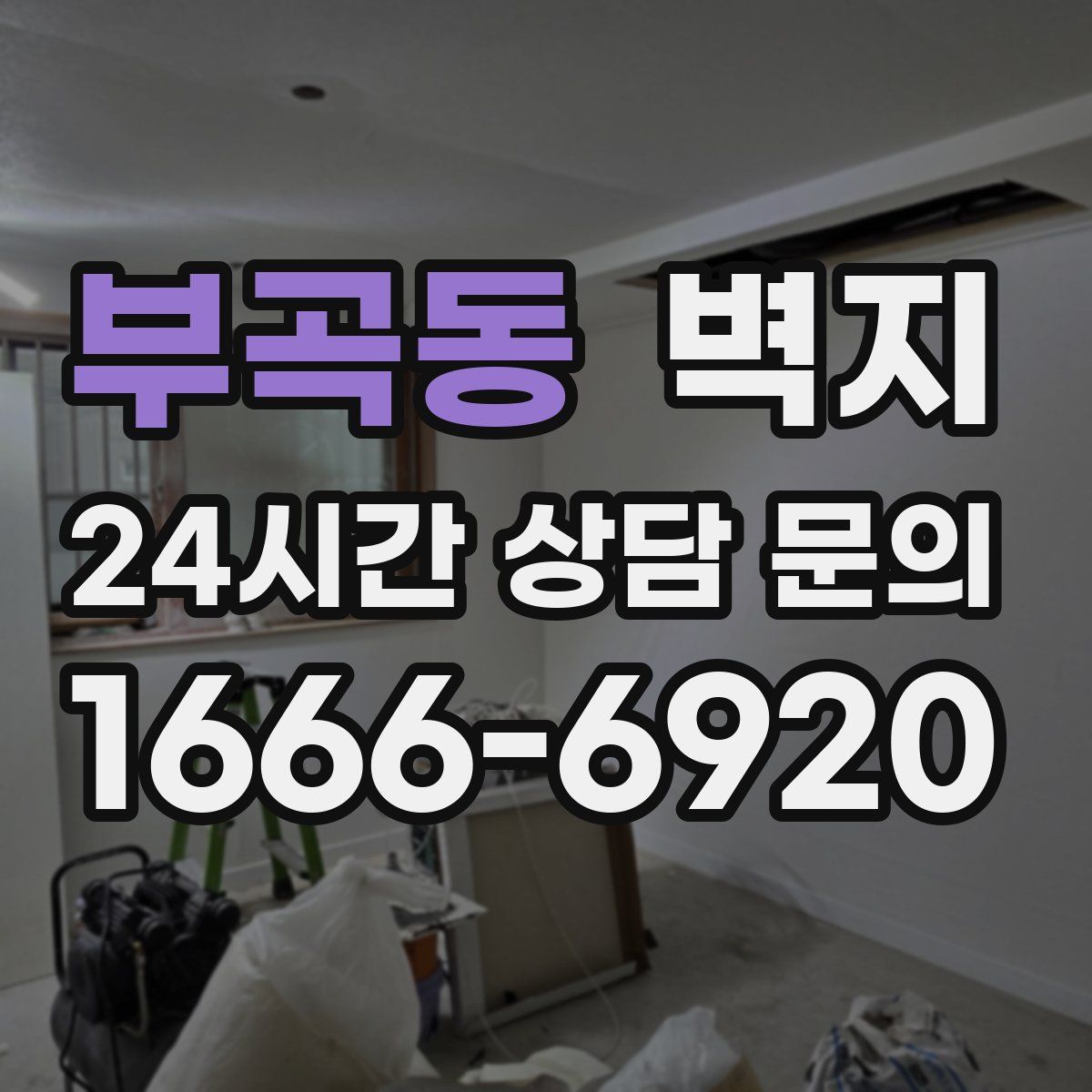 부곡동 벽지