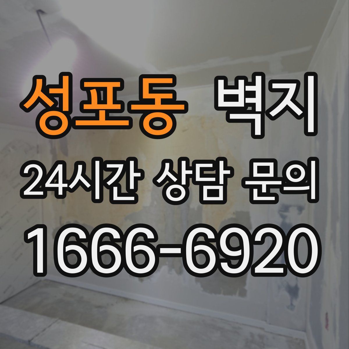 성포동 벽지