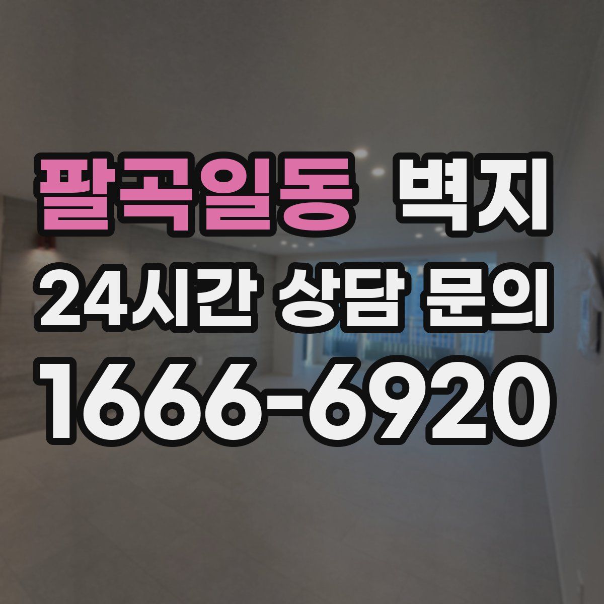 팔곡일동 벽지