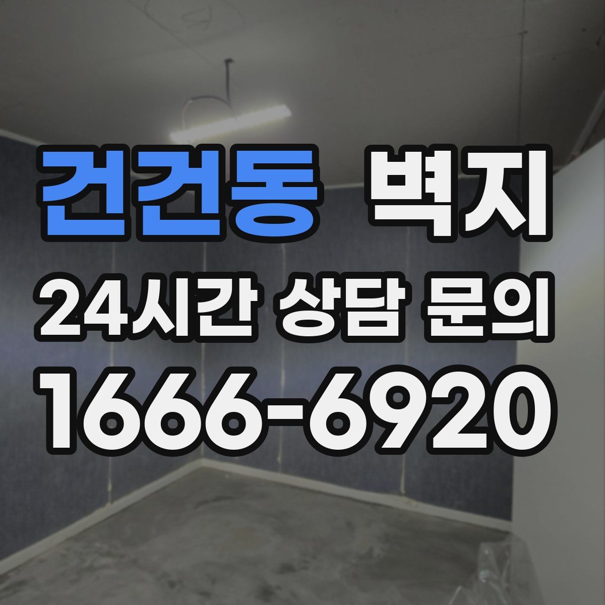 건건동 벽지