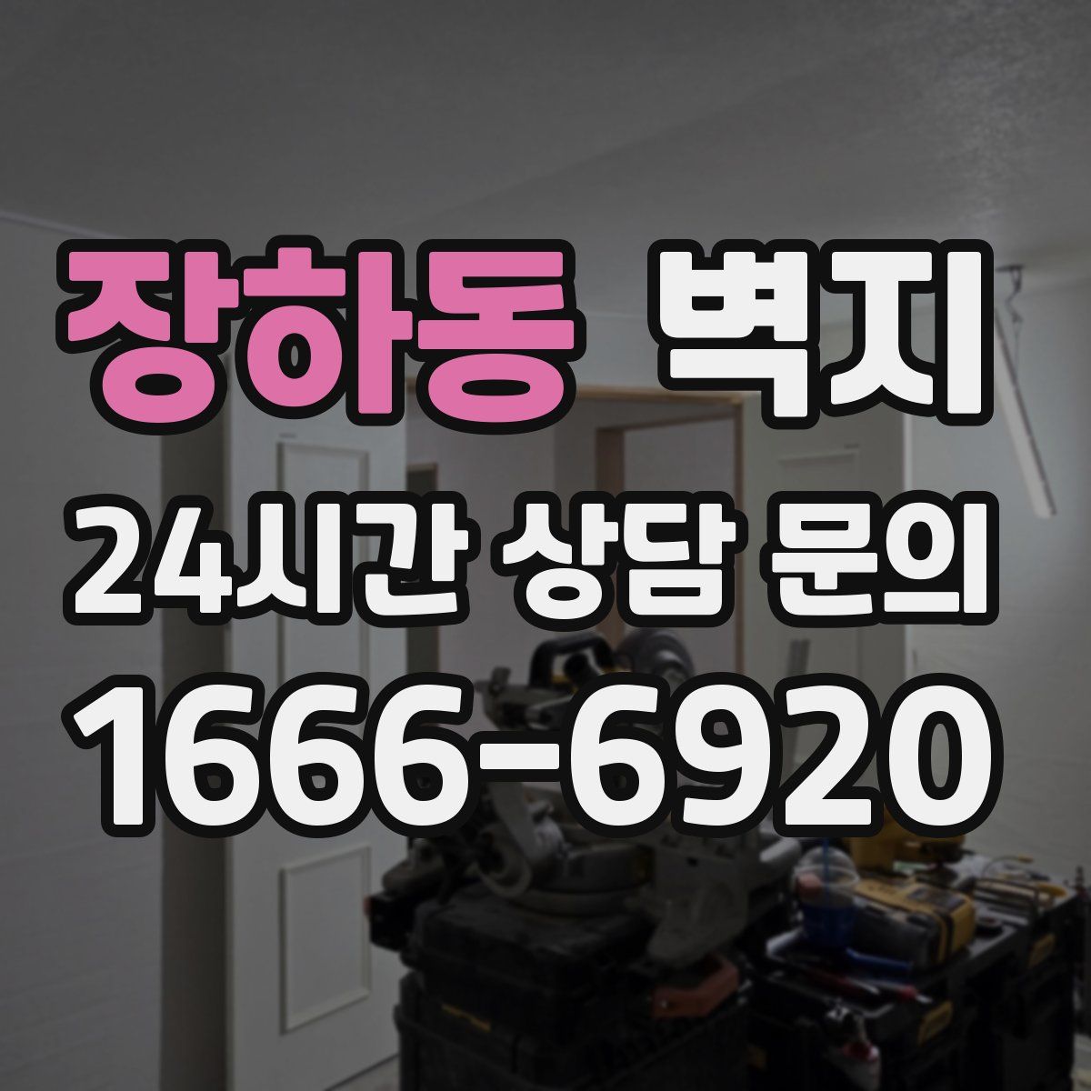 장하동 벽지