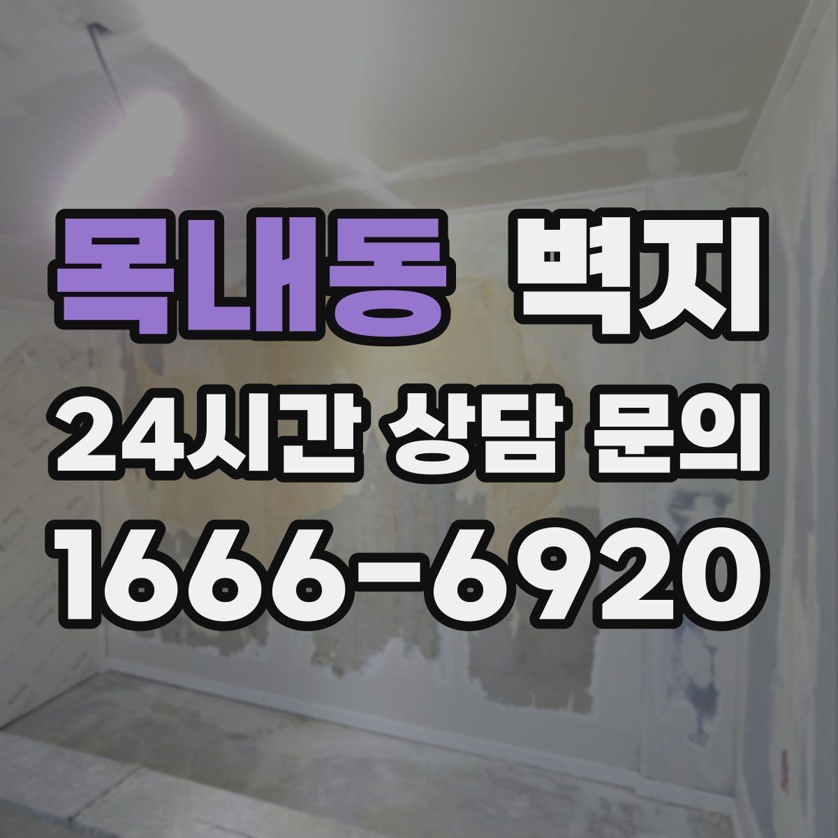 목내동 벽지 관리가 쉬운 집을 위한 선택 기준