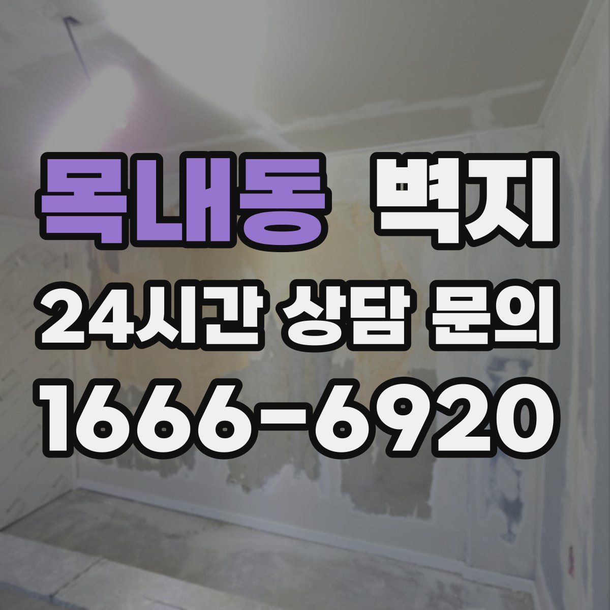 목내동 벽지