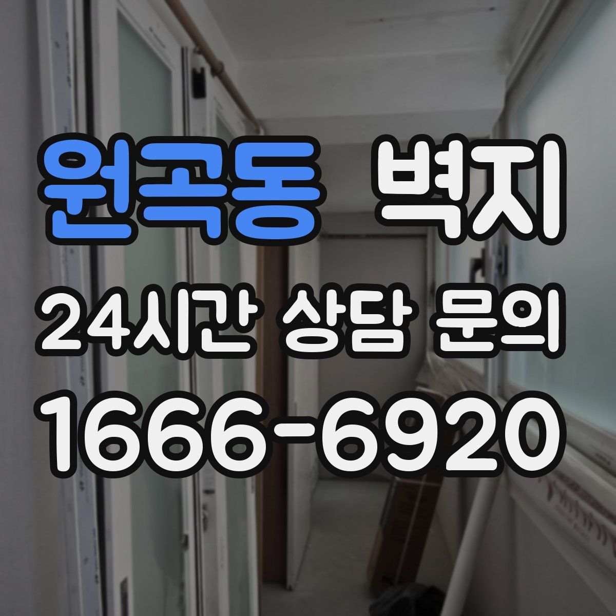 원곡동 벽지