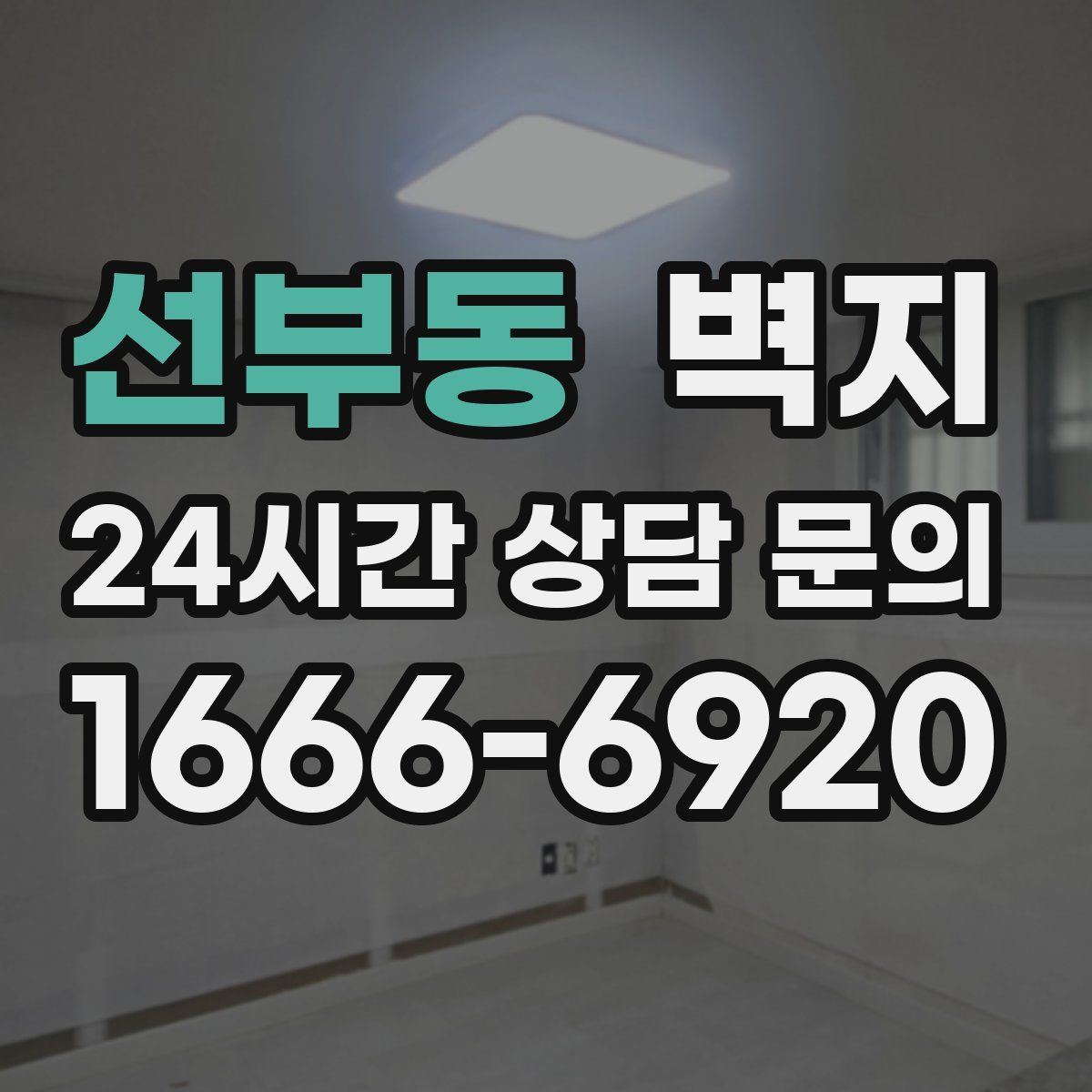 선부동 벽지