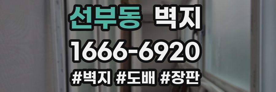 선부동 벽지