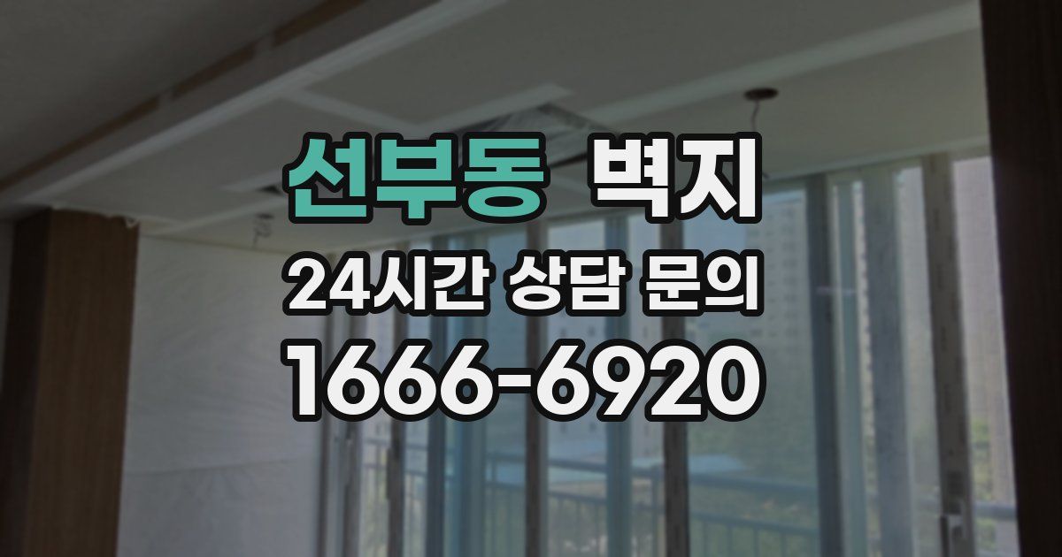 선부동 벽지