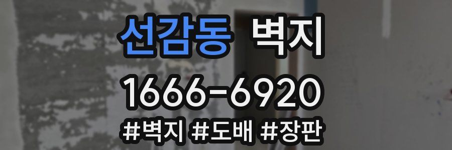 선감동 벽지
