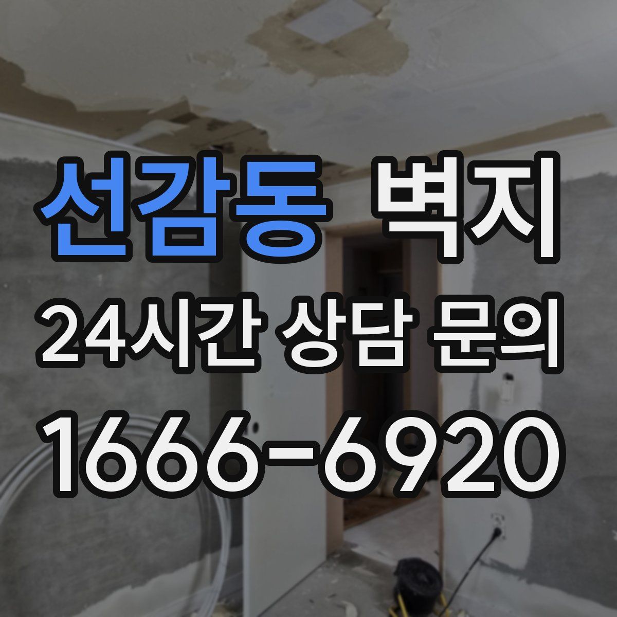 선감동 벽지