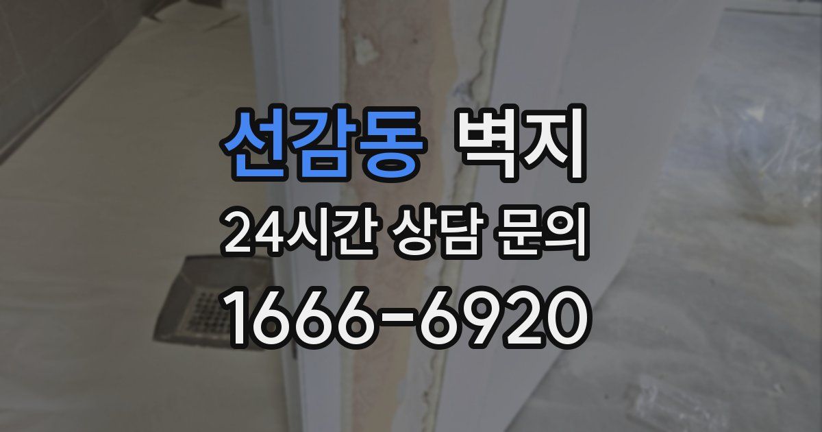 선감동 벽지
