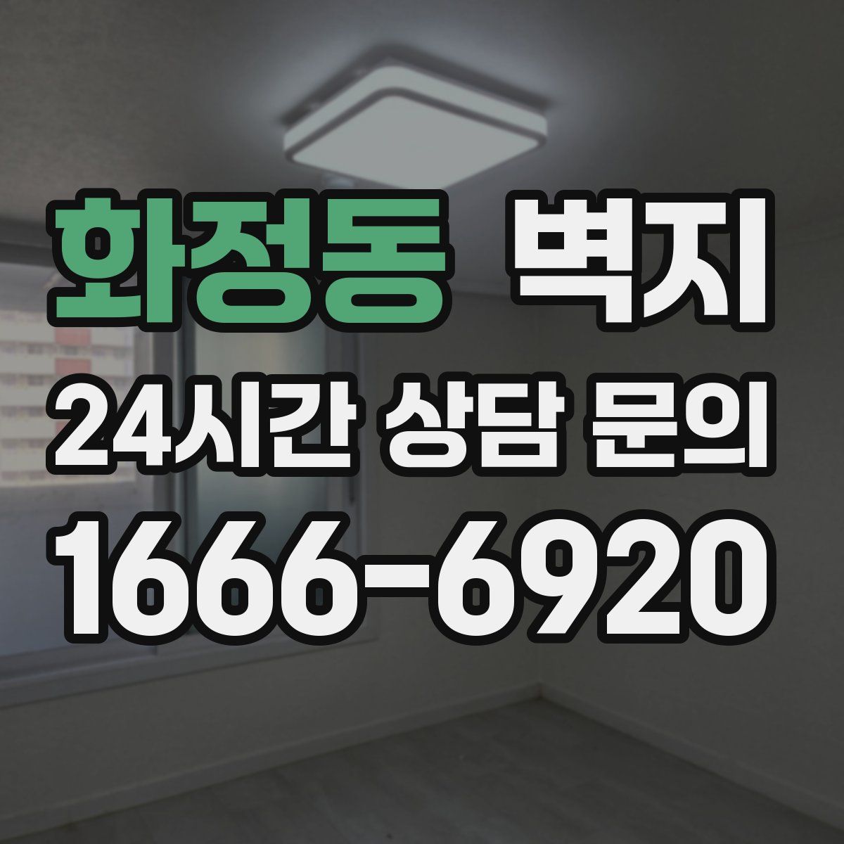 화정동 벽지