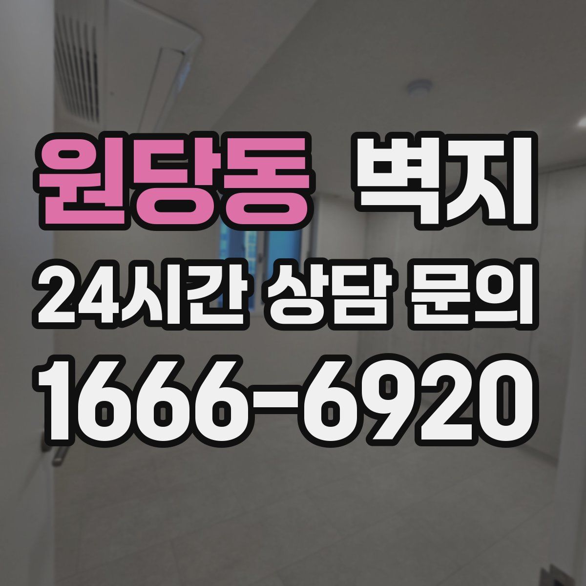 원당동 벽지