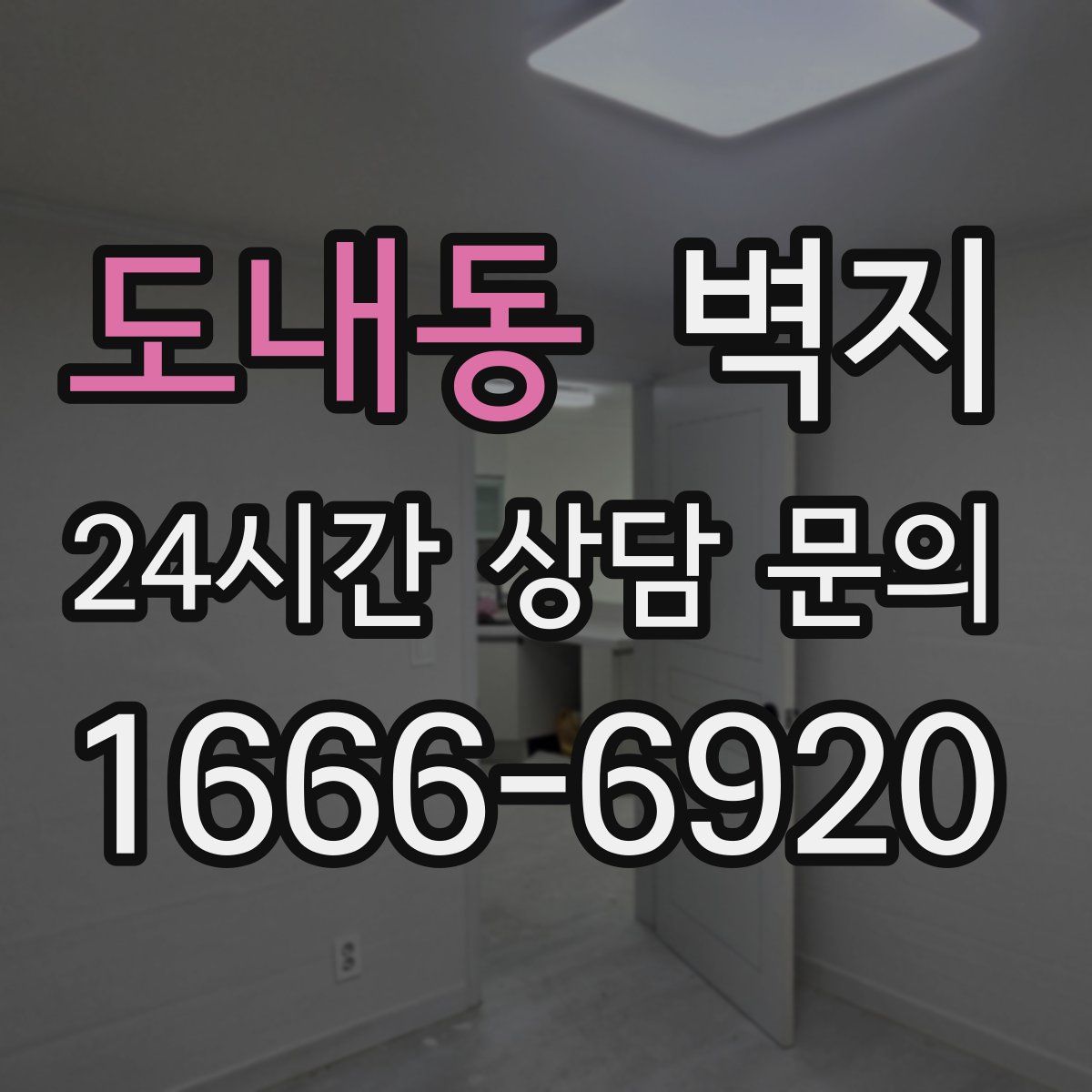 도내동 벽지