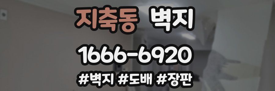 지축동 벽지