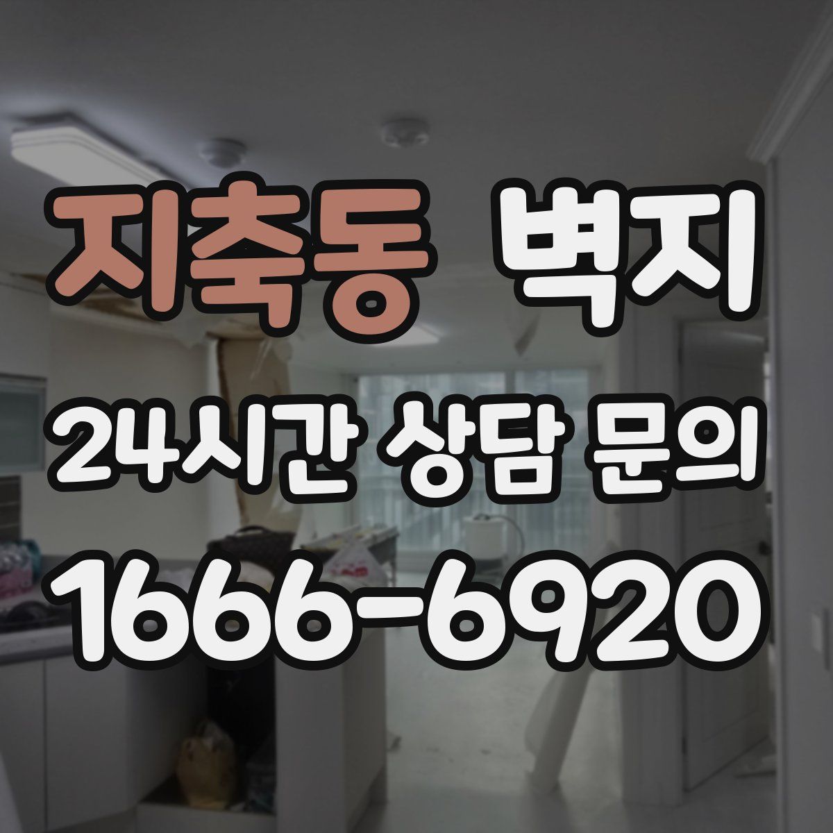 지축동 벽지