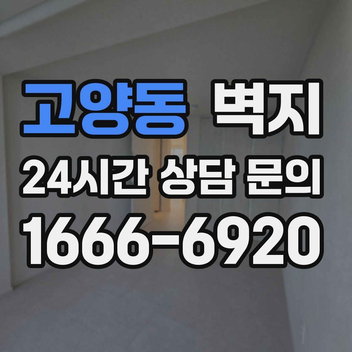 고양동 벽지 인테리어에서 색 대비를 활용하는 법