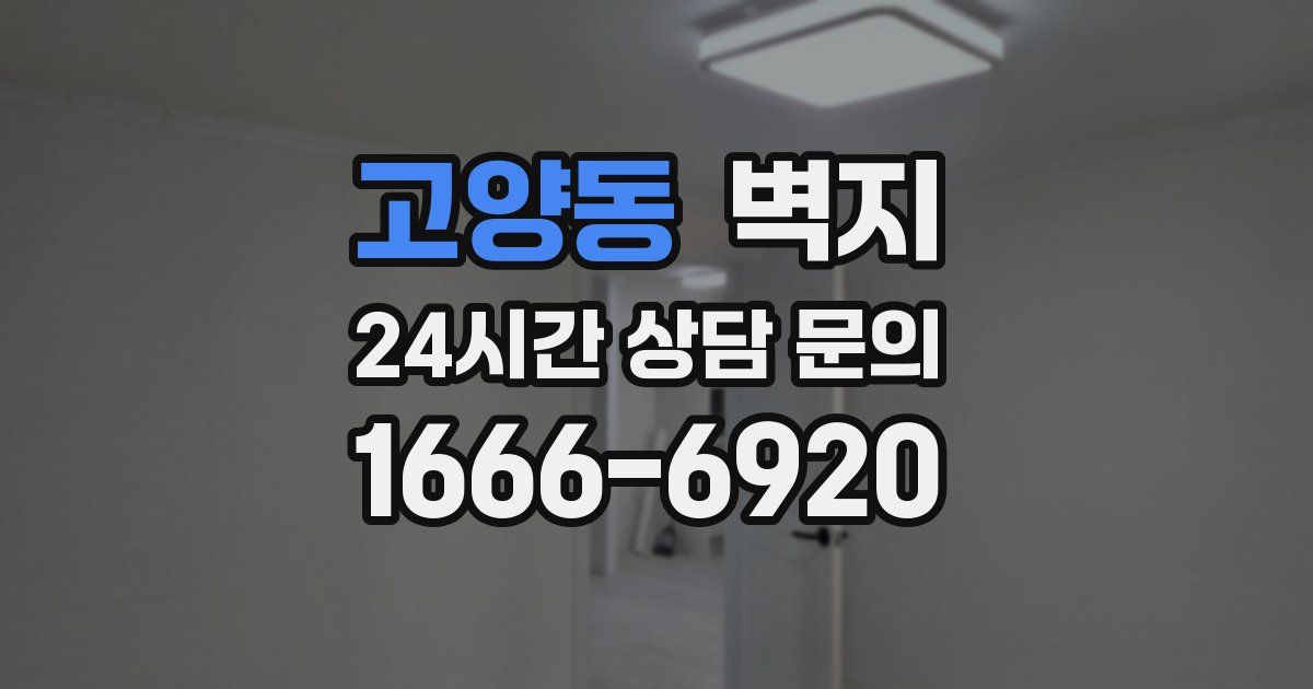 고양동 벽지